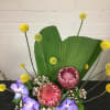 Approx Dimensions:  10L x 20H x 3W  Super fun arrangement