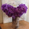 Vanda Orchids
