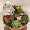 Ceramic bunny and pals come with this succulent dish garden 