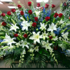 PODIUM ARRANGEMENT 110 BY TWIN TOWERS FLORIST

    As Shown
