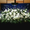 PODIUM ARRANGEMENT 112 BY TWIN TOWERS FLORIST


    As Shown