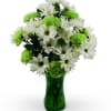 Say top o' the mornin' with the St. Patrick's Day Bouquet. Jubilant