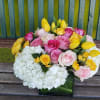  Colorful yellow white 