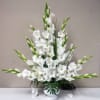 Spectacular gladiolus are captured in a urn, you can request another color