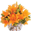 Bowl full of orange lilies and filler