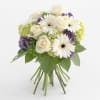 Cool and soothing are the sensations this harmonious gathering of roses, gerberas