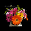Colorful Gerberas, Stargazer Lilies, Hydrangea, Bupleurum, in a round vase. 