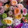 When life calls for some color. A beautiful display of delightful garden