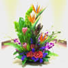 TROPICAL GRANDEUR ARRANGEMENT BY TWIN TOWERS FLORIST


