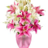 Stunning Pink and White Lilies in a clear or pink vase (
