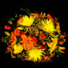 Perfect flower bouquet for Fall. This colorful basket arrangement could be used