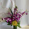 Purple orchids are favorite flowers to many ladies! Win their heart with