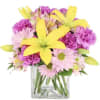 A collection of daisies, carnations and lilies make this a long lasting