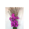 A lavish display of purple orchids against a backdrop of curly willow