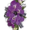 Royally elegant with dramatic purple dendrobium orchids.
Purple dendrobium orchids and Italian ruscus.
Orientation: