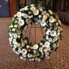 A ring of fragrant, bright white blossoms will create a serene display