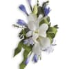 orchid Corsage  (Blue &amp; White) 