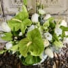 Try a unique green and white arrangement of anthurium, roses, lilies, hydrangeas