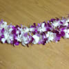 Our beautiful leis are great for graduations, birthdays, or any celebration!