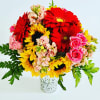 A designer choice arrangement designed with colorful seasonal blooms, based on availability.

Designed