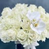This arrangement has over 30 Blooms of pale green white Roses accented