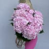 Bunch of premium hydrangeas come with a tall vase
