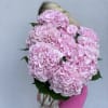 Bunch of premium hydrangeas come with a tall vase
