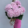 Bunch of premium hydrangeas come with a tall vase