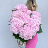 Bunch of premium hydrangeas come with a tall vase