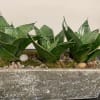 Morden look and easy to care..
Rectangular shaped stone pot