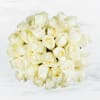 Make a bold statement with this elegantly simple design. White roses symbolize