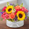 Mixed flowers in box. will be whats available.  box color will