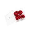 Customize our midsize preserved rose box!

Clear acrylic box protects your roses without
