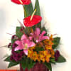 Sweet Surprise Basket is a beautiful birthday gift for your family. Send