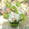 Turn heads with this majestic array of blooms, artistically arranged in a