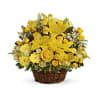 Basket arrangement of florist choice flowers. will be similar to photos but