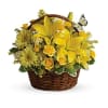 Basket arrangement of florist choice flowers. will be similar to photos but