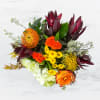 This arrangement likes two things: being inside of a box and delivering