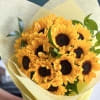 Dozen Sunflowers Bouquet 