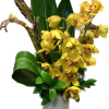 In the Gramercy Arrangement, yellow tropical orchids lie at the heart of