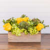 Yellow roses with green succulents and a crisp white rectangular box, this