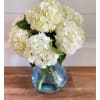 Beautiful Hydrangeas and a few white roses and mums in a Recycled