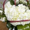 Perfect arrangement for that one special person clean &amp; classy White ceramic
