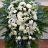 Design is Special to give Condolences all members family 