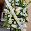 Think of you we design in all green 