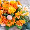 Capture the beauty of fall with the warm autumn hues of this