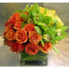 roses cymbidium 