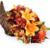Looking to stun your gracious host or hostess this Thanksgiving? Look no