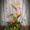 Visually awesome design with bird of paradise, orchids and roses. This seasonal