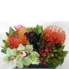 Exquisite arrangement of pincushion proteas, cymbidium orchids, hydrangea, red coffee bean accents